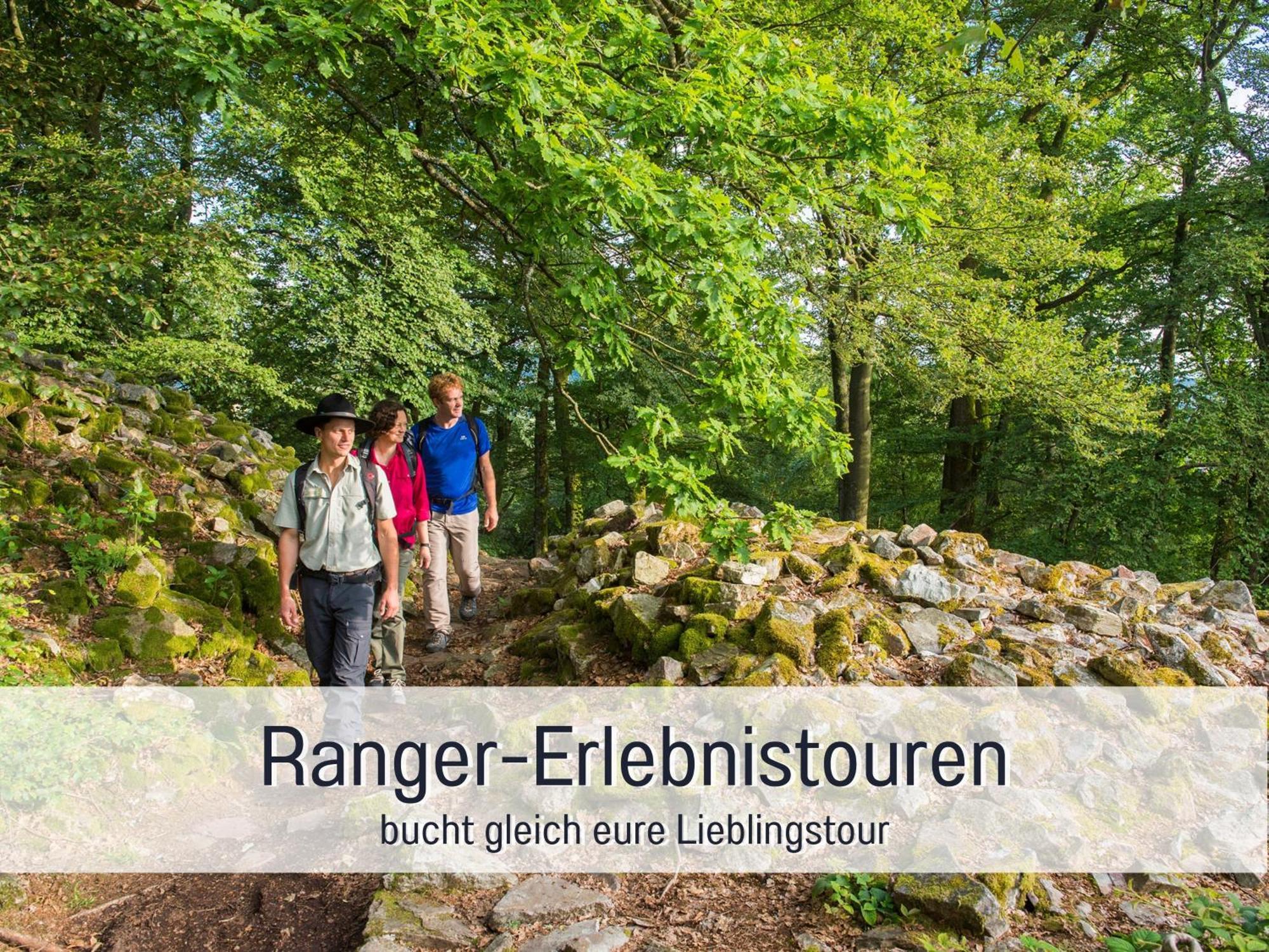 4 Sterne Ferienhaus "Zum Weiher" Allenbach エクステリア 写真