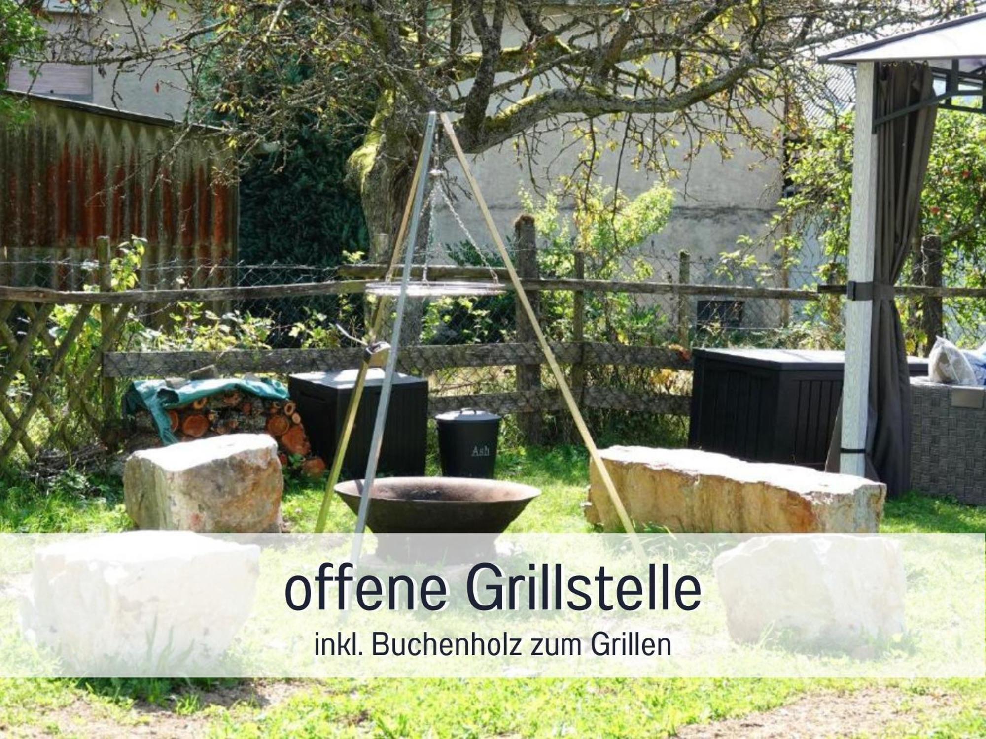 4 Sterne Ferienhaus "Zum Weiher" Allenbach エクステリア 写真