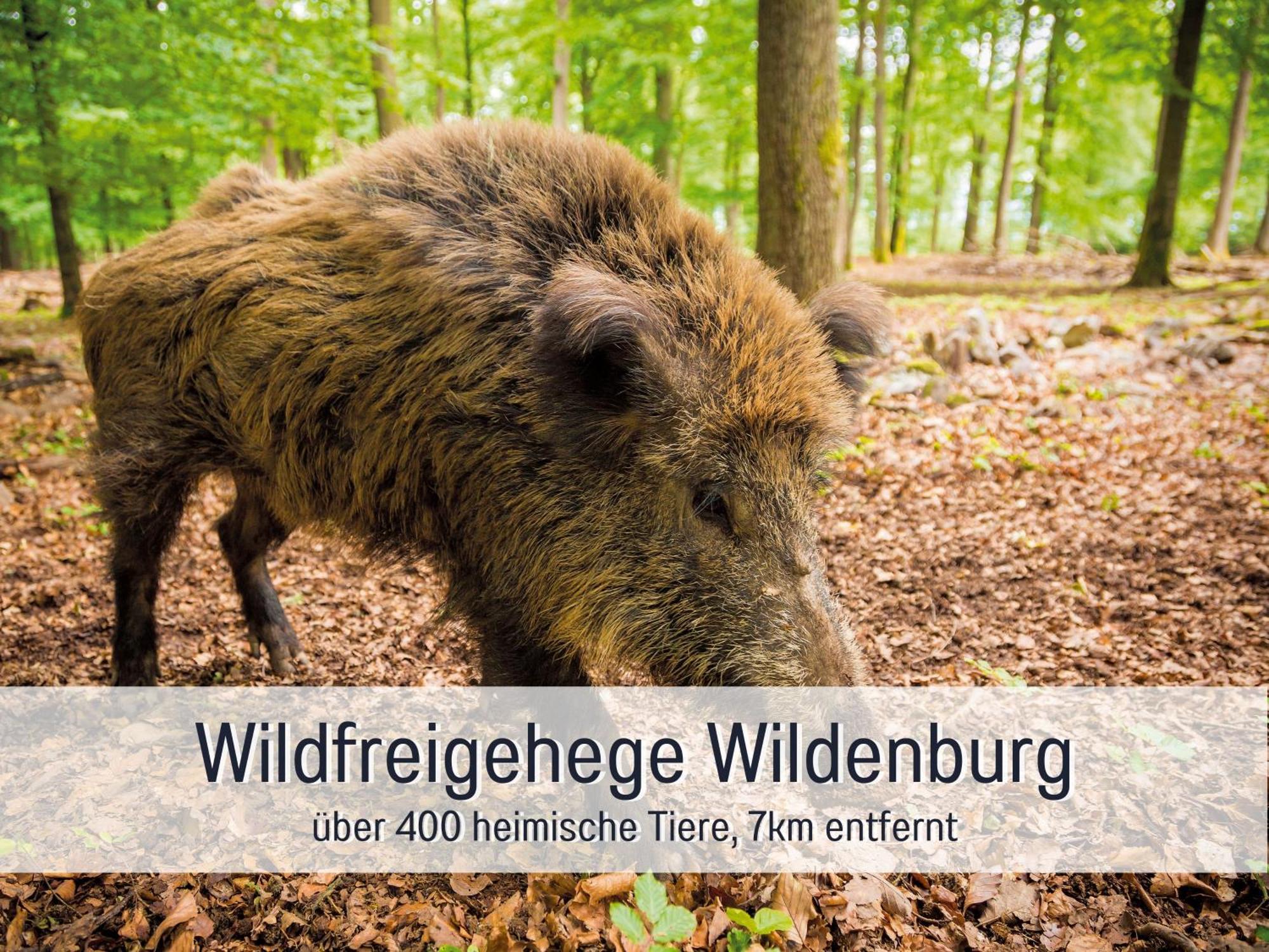 4 Sterne Ferienhaus "Zum Weiher" Allenbach エクステリア 写真